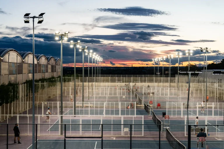 Tenis